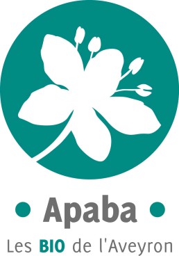 logo_base 2